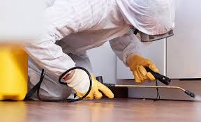 Real Estate Pest Inspections in Spring Valley Village, TX